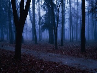 Gloomy dark forest at dusk. Mysterious autumn forest in blue colors. Twilight in the woods. Spooky place.