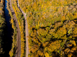 Forêt automnale vue du ciel