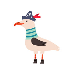 Seagull Pirate