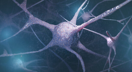 Neuronen - Zellen - Gehirn - Konzept