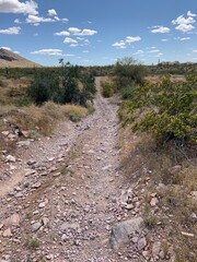 Saddle Mountain Desert Road