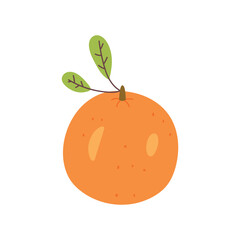 Vector cute orange
