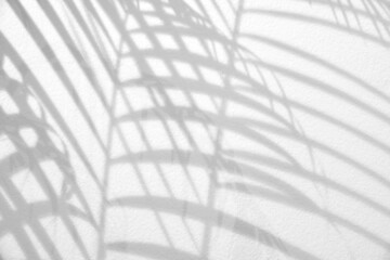 Light and shadow leaves,palm leaf overlay on grunge white wall concrete background.Silhouette abstract tropical leaf natural pattern for wallpaper,summer texture.Black and white blurred backdrop.