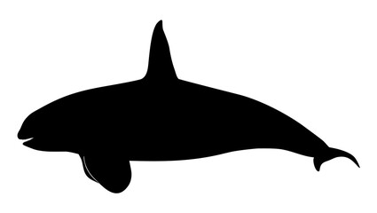 silhouette -killer whales vector illustration