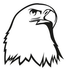 Eagle head icon. Hawk outline logo. Bird of prey