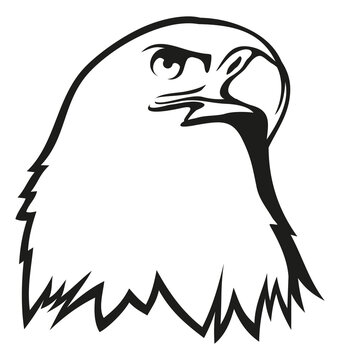 recommend clip art: Eagle head icon. Hawk outline logo. Bird of prey