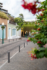 Beautiful street of Funchal, Madeira