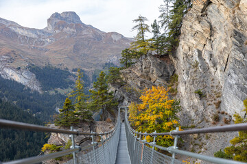 Swiss alps landscape. Hanging bridge passage in the middle of mountains. Autumn colors. Walking trail in nature. Outdoor adventure experience. Green forest valley landscape