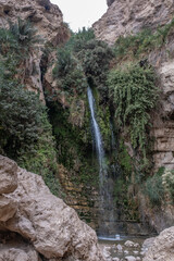 View of the Big Waterfall at the entrance of Nahal (stream) David trail in the deep canyon at Ein Gedi Nature Reserve, Kibbutz Ein Gedi, Judean desert, Israel.