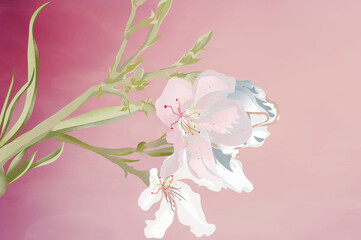 Ilustracja różowy pastelowy kwiat oleander na zielonej gałązce różowe tło - obrazy, fototapety, plakaty