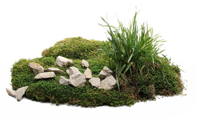 Green moss with decorative rocks and grass isolated on white  