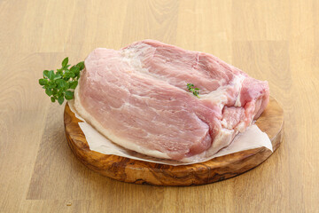 Piece of the raw pork meat