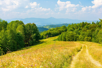beautiful countryside of transcarpathia. sunny afternoon. scenic summer landscape in mountains....