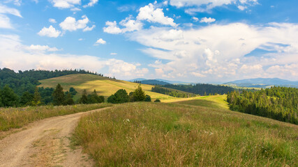 Fototapeta na wymiar beautiful countryside of transcarpathia. sunny afternoon. scenic summer landscape in mountains. grassy meadows and forested rolling hills. scenery with rural road through green fields in evening light