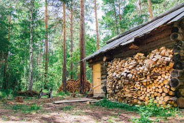 A lonely old hunter's house and a pile of firewood nearby in a forest glade in a Siberian forest