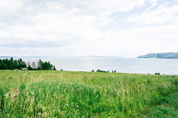 Lush blooming green meadow on the banks of the Siberian river on a summer day