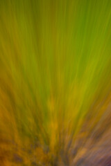 Vertical background in green brown tones. Dynamic gradient with soft blur. Abstract backdrop.