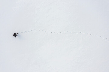 a woman walks through fresh snow leaving footprints, top aerial view, winter outdoor activity - Powered by Adobe