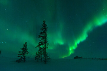 Northern Lights, scrawny spruce trees, and abandoned buildings on Canada's sub-arctic tundra