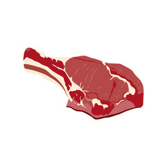Sliced piece of fresh cattle meat in a flat illustration style on a white background