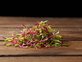 fresh beet sprouts on the table. Microgreen for salad, detox