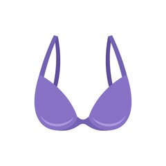 Thong bra icon flat isolated vector