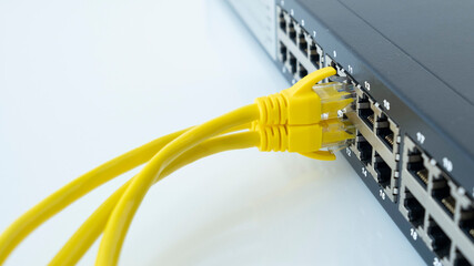 Network cables connected in network switches. Telecommunication ethernet cables connected to internet switch. 
