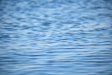 Closeup seascape surface of blue sea water with small ripple waves