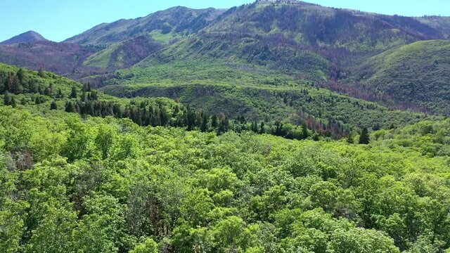 Aerial shot Maple Lake on Nebo Loop up Payson Canyon above Utah Valley mountains