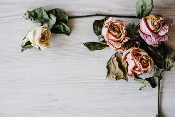 Flowers composition. Frame made of dried rose flowers on white wooden background. Flat lay, top view, copy space. Place for text and design.