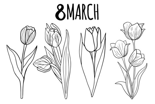 Floral collection with leaves, tulips Happy 8 March. Vector flowers. Spring art print with botanical elements. Festive postcard. Folk style. Spring holiday posters. icons isolated on white background