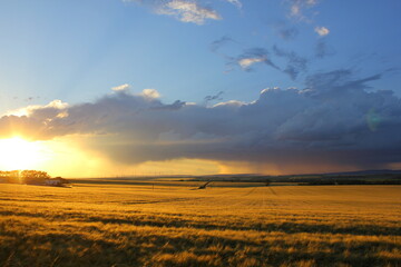 Fototapeta na wymiar Sonnenuntergang über Feld