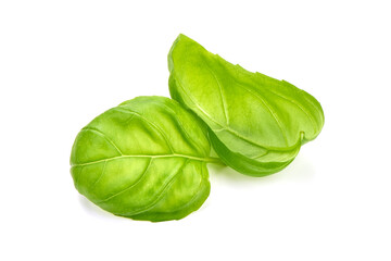Fresh green basil leaves, isolated on white background.