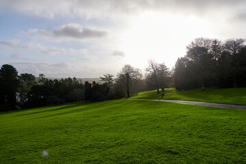 Course in the morning fog