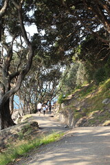 Trails and walkways around Tauranga New Zealand 