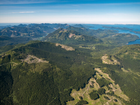 Stock Aerial Photo of Logging on Vancouver Island BC , Canada