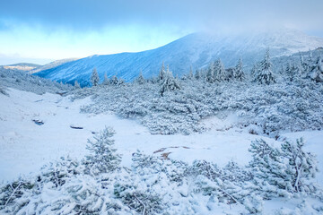 Winter vacation in the mountains. Snowy landscape