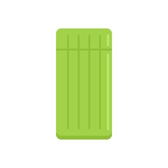 Pillow inflatable mattress icon flat isolated vector