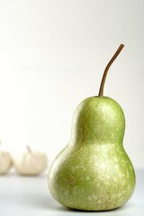 gourd and mini pumpkins