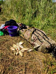 In the photo, fishing tackle with a catch against the background of the nature of Ukraine