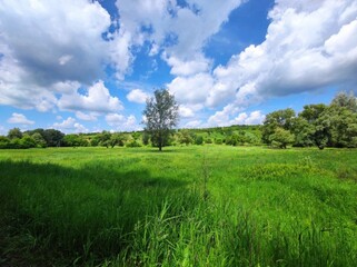 In the photo, the nature of Ukraine
