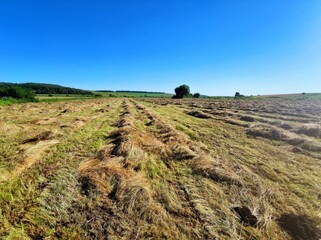 In the photo, the nature of Ukraine and hay harvesting