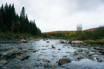 River in the indian summer 