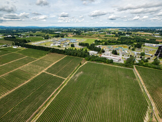 Stock Aerial Photo of Agricultural Farmland Abbotsford BC  , Canada