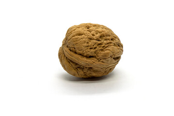 Walnut on a white background close up