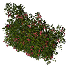 VEGETATION TOP VIEW - TREES PLANTS AND BUSHES IN PLAN