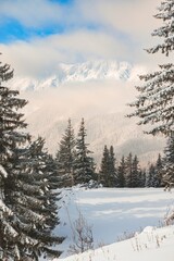 High peaks of the Carpathian Mountains in Romania, home to some of the tallest peaks in the area. The hikes can be especially harsh due to cold winter temperatures, snow, and rocky terrain