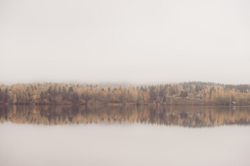 Autumn trees reflection in a lake in Sweden