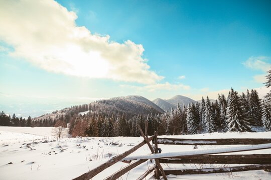 Sheepfold in the mountain. Poiana Zanoaga in valley, Piatra Craiului natural reserve from Romania. Piatra Mica or Cabana Curmatura in Piatra Craiului National Park