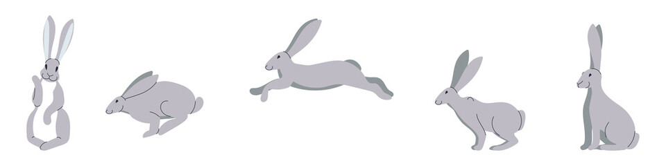 Gray rabbits on a white background. The rabbit in a single position sits, jumps. waving his paw. Flat vector illustration.